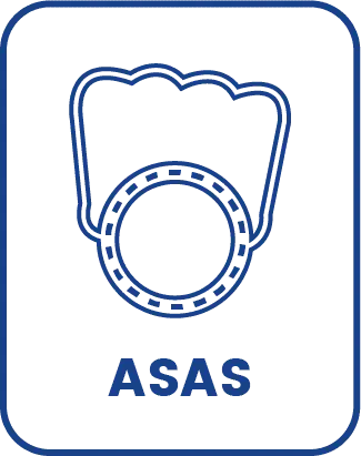 Ícono de Asas